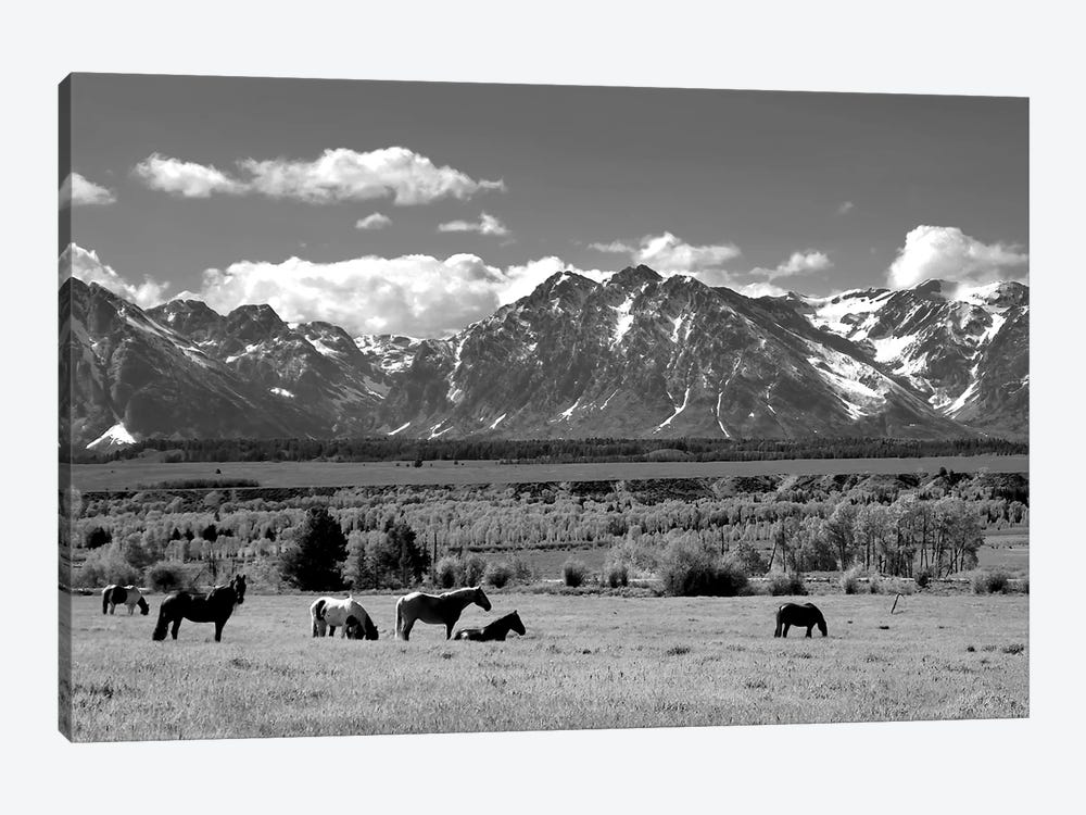 The Ranch Herd by Steve Toole 1-piece Art Print