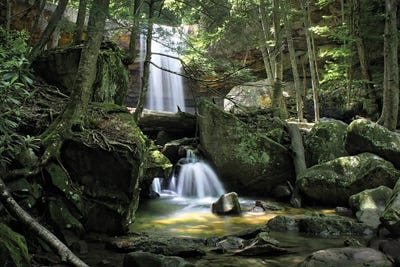 Cucumber Falls by Steve Toole art print