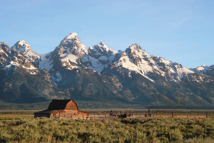 Teton Morning