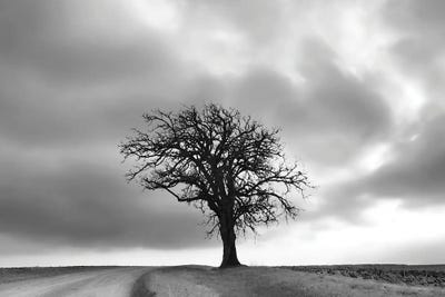 Around The Bend by Steve Toole art print