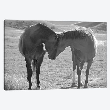 Sweet Nothings Canvas Print #SVE51} by Steve Toole Canvas Art