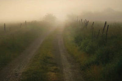 The Less Traveled Road by Steve Toole art print