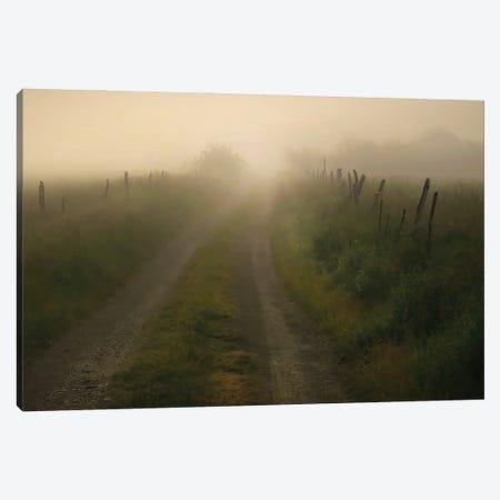 The Less Traveled Road Canvas Print #SVE53} by Steve Toole Canvas Artwork