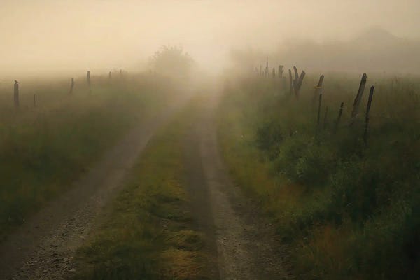 Steve Toole: The Less Traveled Road by Steve Toole