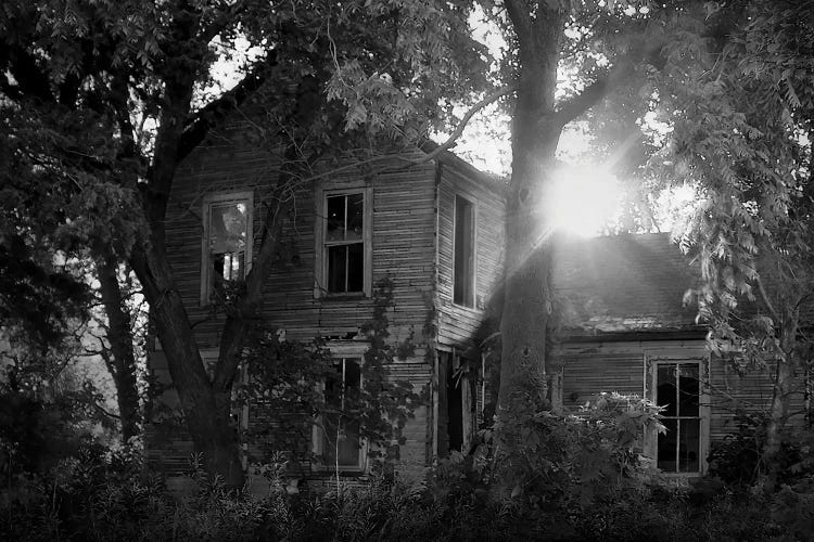 At The End Of The Street by Steve Toole wall art