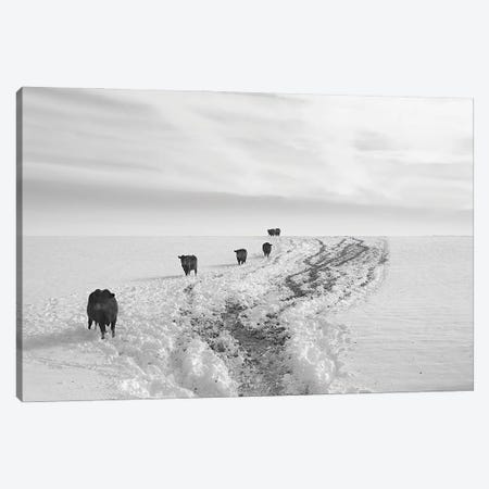 Returning From Breakfast Canvas Print #SVE58} by Steve Toole Canvas Art