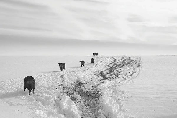 Steve Toole: Returning From Breakfast by Steve Toole