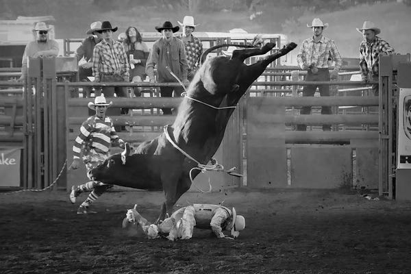 Steve Toole: Seven Seconds by Steve Toole