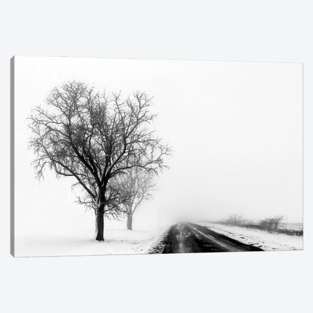 Down The Road Canvas Print #SVE6} by Steve Toole Canvas Art