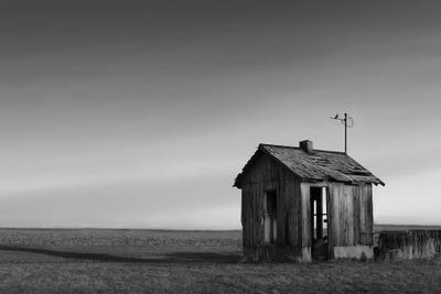 The Perch by Steve Toole canvas print