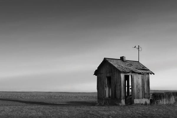 Steve Toole: The Perch by Steve Toole