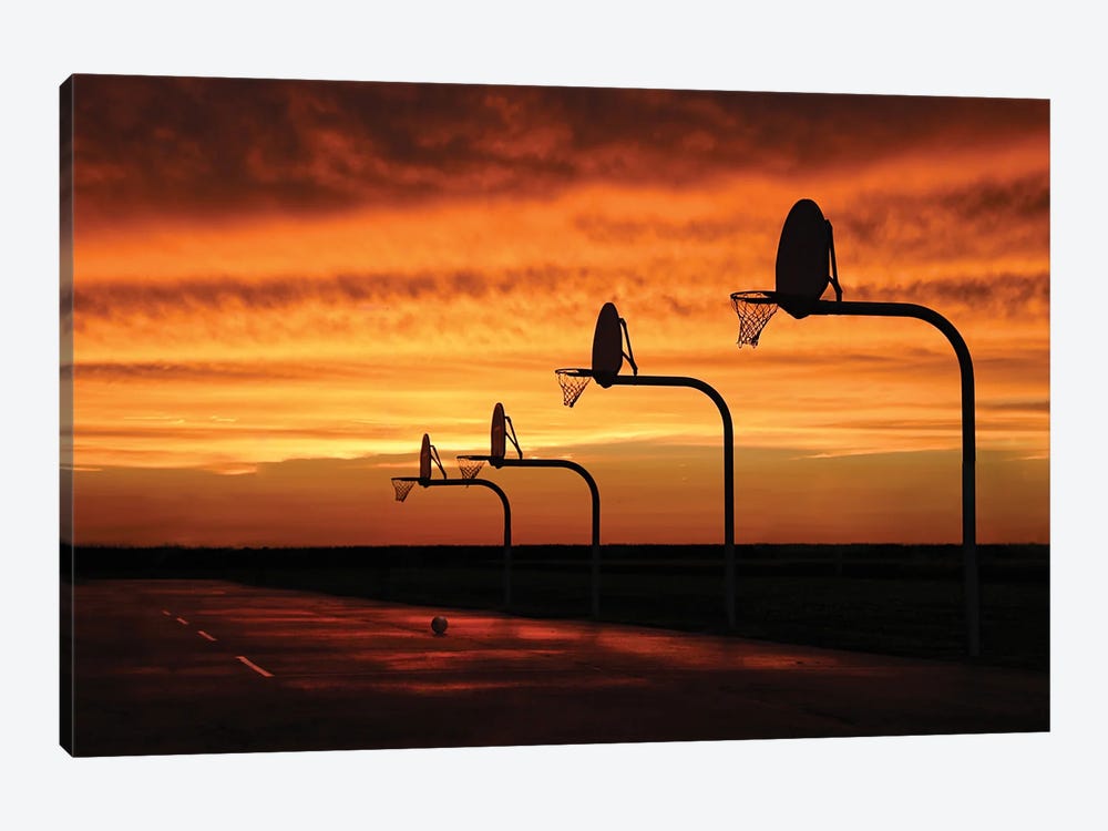 Hoops by Steve Toole 1-piece Canvas Artwork