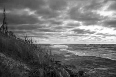 Seascape II by Steve Toole canvas print