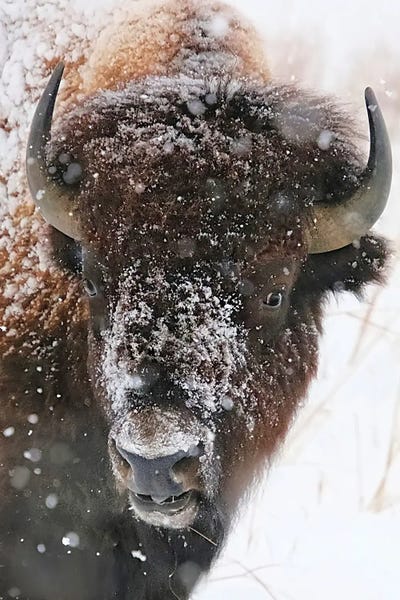 Steve Toole: Perfect Weather by Steve Toole