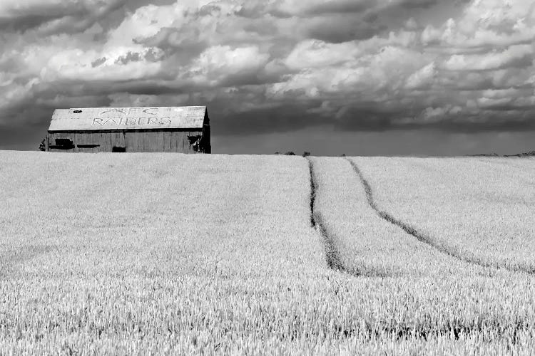 Breadbasket by Steve Toole wall art