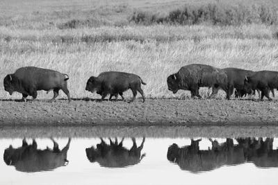 Reflection Of The Past by Steve Toole art print