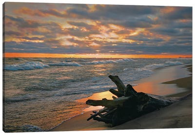 Seaside Sunset Canvas Art Print - Steve Toole