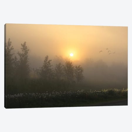 Misty Morning Canvas Print #SVE94} by Steve Toole Art Print