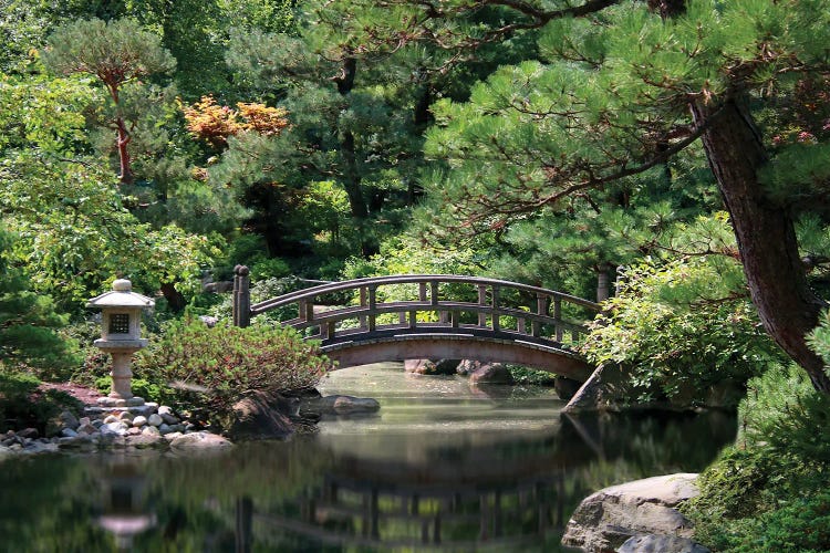 Japanese Garden by Steve Toole wall art