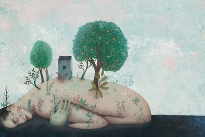 Island by Alefes Silva  canvas print