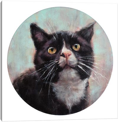 Mackey  Canvas Art Print - Tuxedo Cat Art
