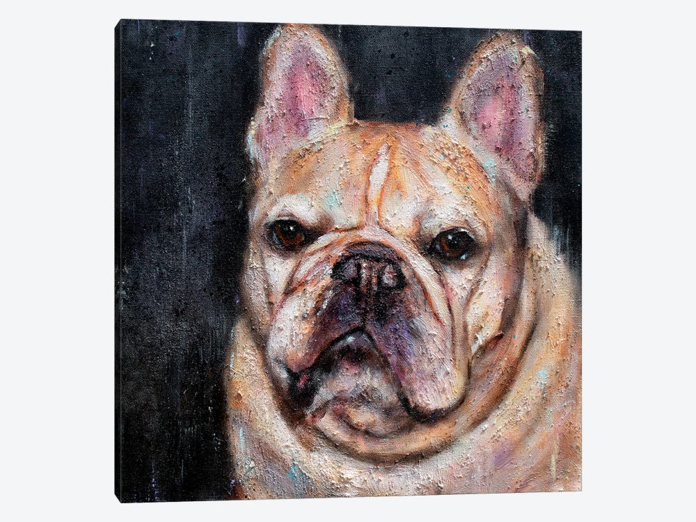 Frank The Frenchie by Christine Savella 1-piece Canvas Artwork