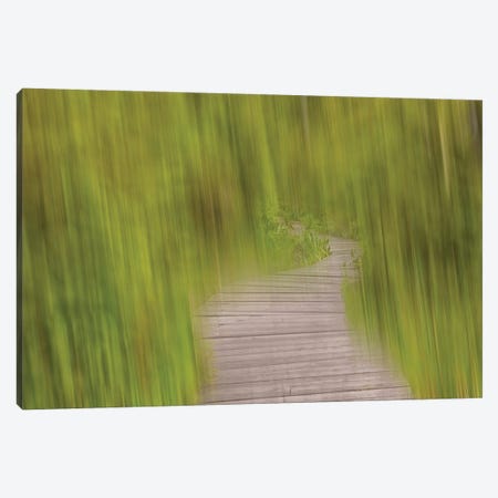 Blurred Path Canvas Print #SVN12} by Savanah Plank Canvas Art Print