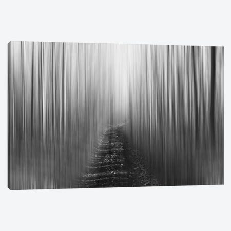 Blurred Trail, Black & White Canvas Print #SVN14} by Savanah Plank Canvas Wall Art