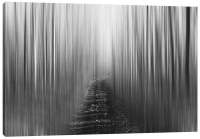 Blurred Trail, Black & White Canvas Art Print - Savanah Plank