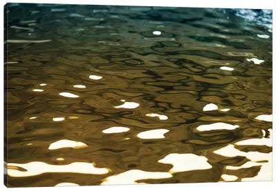 Golden Reflections Canvas Art Print - Savanah Plank