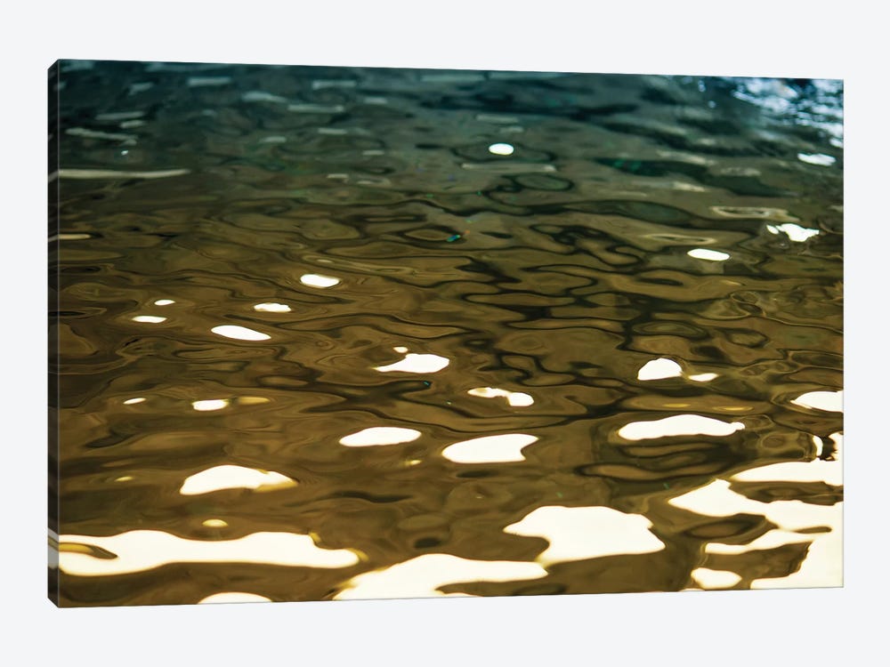 Golden Reflections by Savanah Plank 1-piece Canvas Artwork