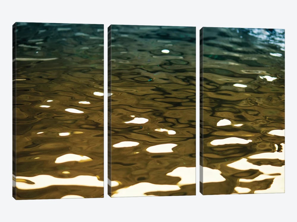 Golden Reflections by Savanah Plank 3-piece Canvas Art