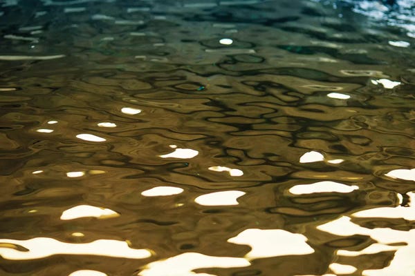 Water Close-Ups: Golden Reflections by Savanah Plank