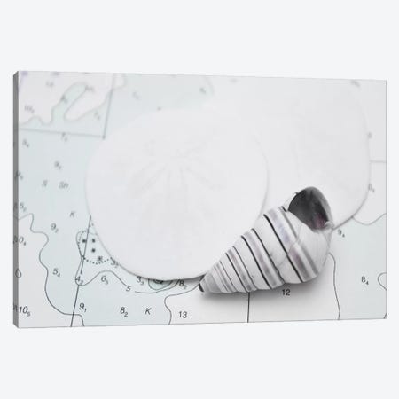 Nautical Shell And Sand Dollar Canvas Print #SVN37} by Savanah Plank Canvas Art