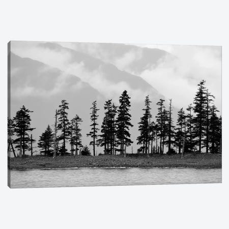 Pines On Beachfront Canvas Print #SVN42} by Savanah Plank Canvas Wall Art