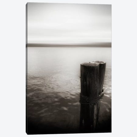 View From Pier, Alki Beach, Seattle, Washington II Canvas Print #SVN57} by Savanah Plank Canvas Artwork