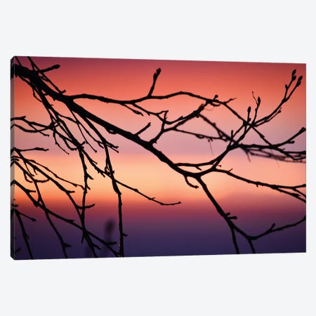 Abstract Sunset III Canvas Print #SVN5} by Savanah Plank Canvas Art Print