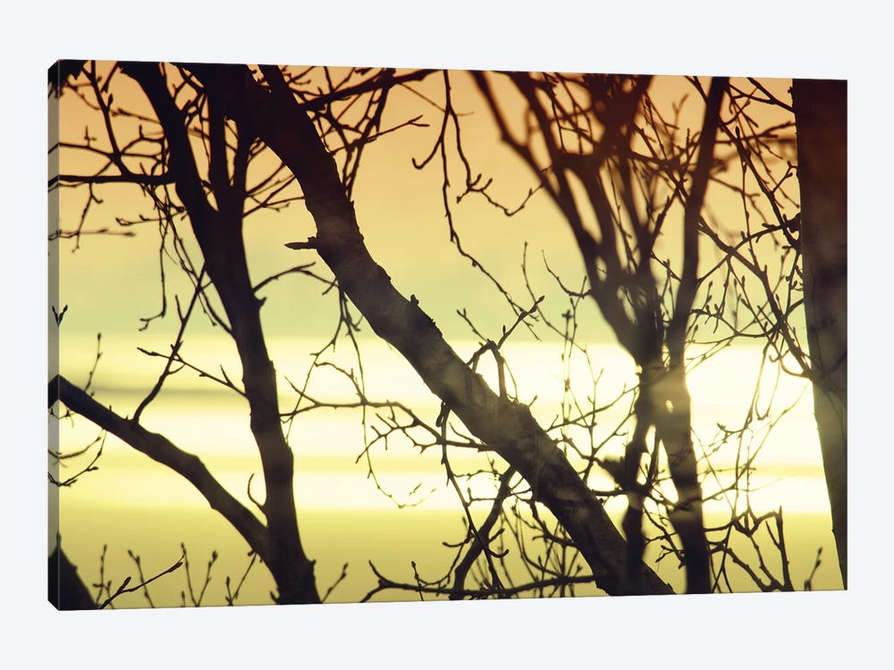 Aspen Sunset I 1-piece Canvas Print
