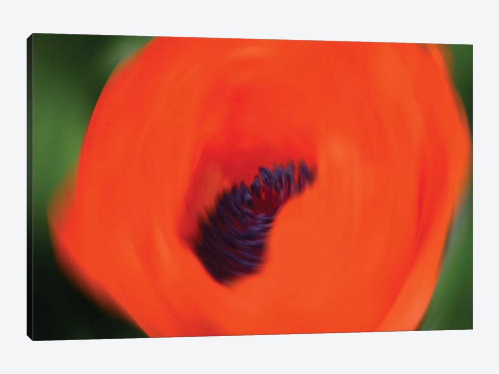 Orange Poppy 1-piece Art Print