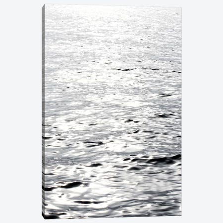 Ocean Reflection Canvas Print #SVN84} by Savanah Plank Art Print