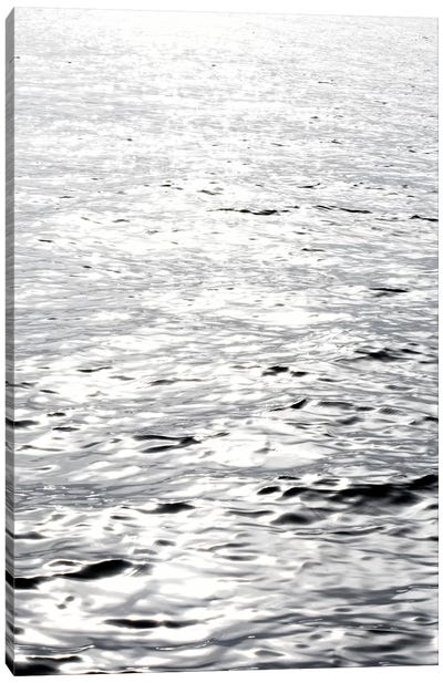 Ocean Reflection Canvas Art Print - Savanah Plank