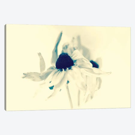 Blue Flowers Canvas Print #SVR117} by Larisa Siverina Art Print