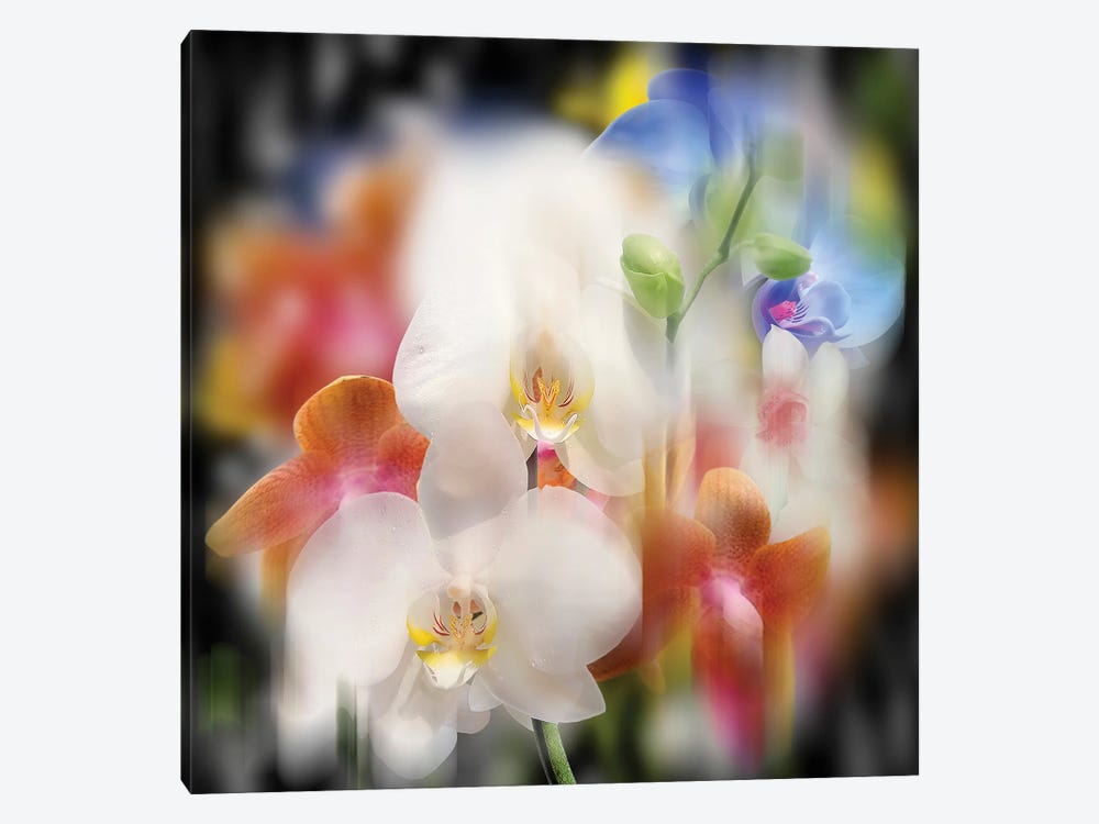 Orchids by Larisa Siverina 1-piece Art Print