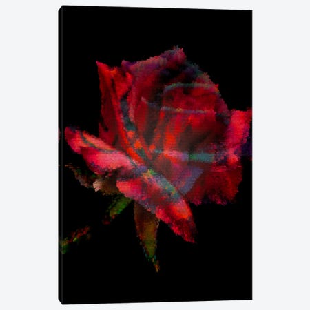 Red Rose II Canvas Print #SVR165} by Larisa Siverina Canvas Art