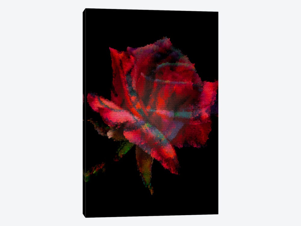 Red Rose II by Larisa Siverina 1-piece Canvas Art