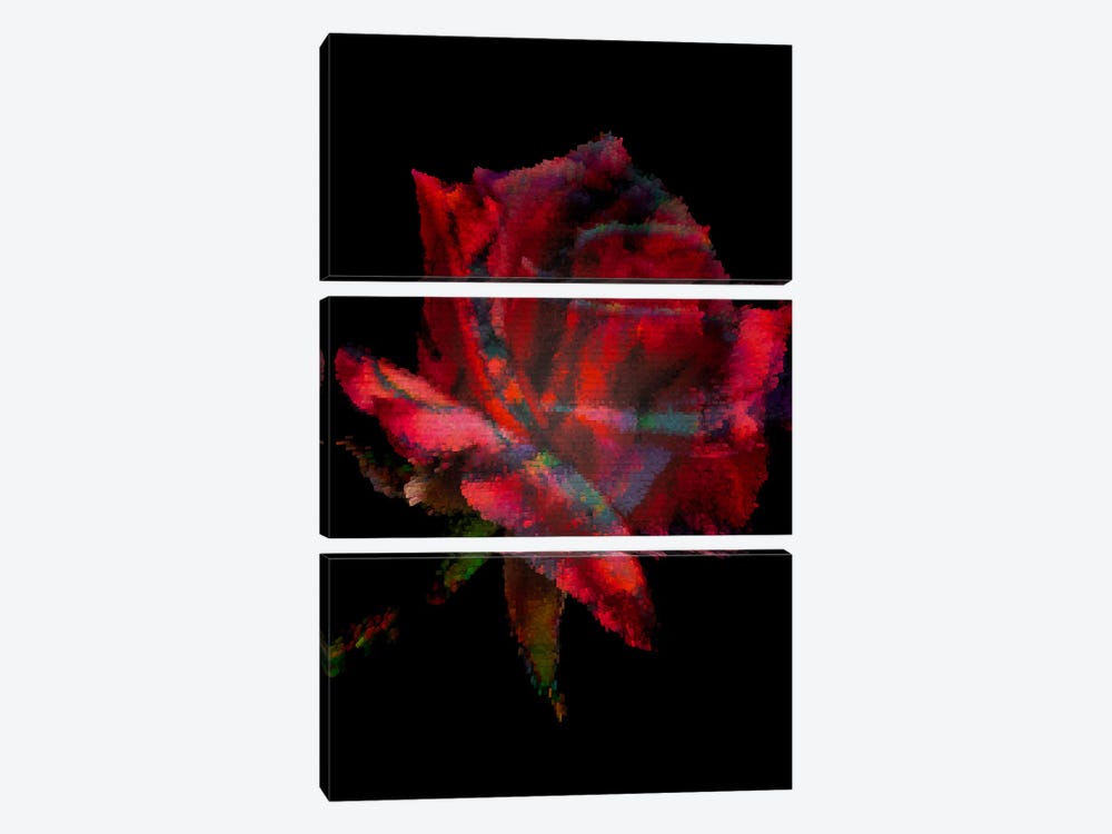 Red Rose II by Larisa Siverina 3-piece Canvas Art