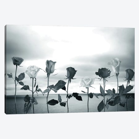 Sky And Roses Canvas Print #SVR17} by Larisa Siverina Canvas Art