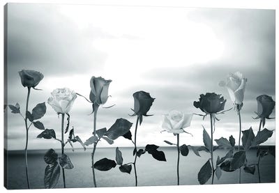 Sky And Roses Canvas Art Print - Larisa Siverina