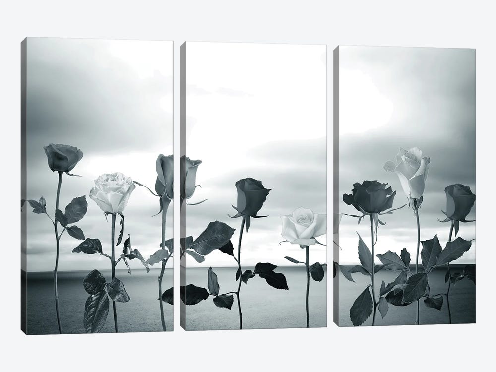 Sky And Roses by Larisa Siverina 3-piece Canvas Artwork