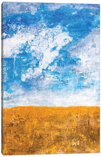 Cloudy Day Canvas Art Print - Larisa Siverina